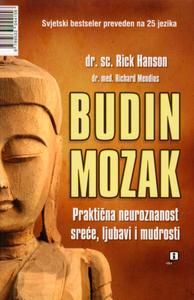 budin mozak 48064c