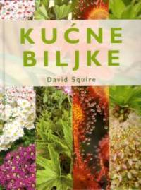 kucne biljke d31d09