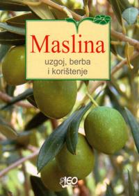 maslina uzgoj berba i koristenje 792b91