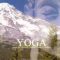 yoga istina put spoznaja potreba i zivot 21 stolje 9ae955