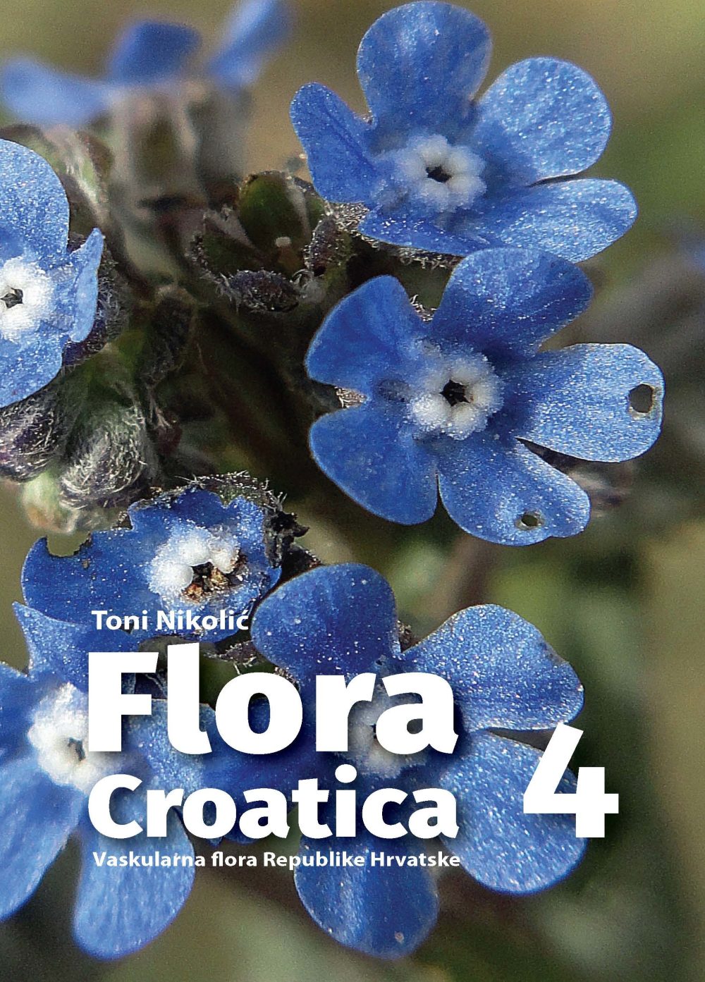 Flora croatica 4